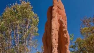 Biomimicry Termite Mound Architecture [upl. by Deth7]