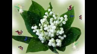 1ER MAI MUGUET cartes virtuelles [upl. by Reede]