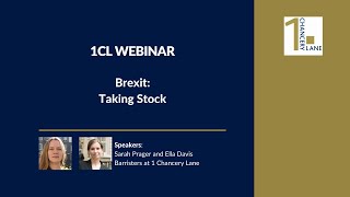 Brexit Taking Stock [upl. by Ellehcem]