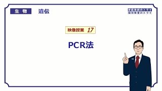 【高校生物】 遺伝17 PCR法（２０分） [upl. by Gran990]