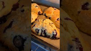 Blueberry Scones [upl. by Carina]