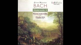 J S Bach  Sonata BWV 1029 gMoll  Indermühle Brizi [upl. by Hamford]