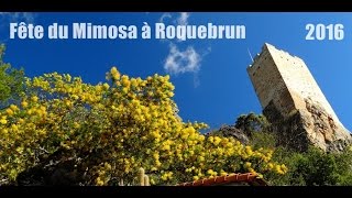 Fête du Mimosa à Roquebrun 14022016 [upl. by Suiluj]