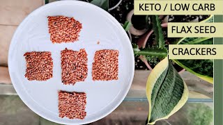 Flax Seed Crackers  Simple Keto Crackers  Crispy Flax amp Seed Crackers  Easy Keto Recipes [upl. by Lehpar32]