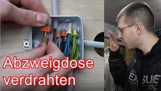 Abzweigdose verdrahten ElektroM [upl. by Riggins]