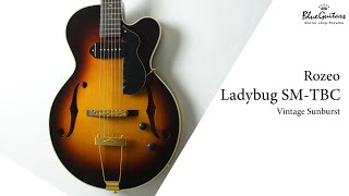 Blue Guitars  Rozeo  Ladybug SMTBC  Vintage Sunburst [upl. by Damal459]