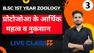 प्रोटोजोआ BSc 1st year zoology chapter 1 in hindi  bsc 1st year zoology  zoology bsc 1st year [upl. by Eked]