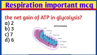 Respiration mcqs glycolysis Krebs cycle mcqs important mcqs of respirations [upl. by Shela]