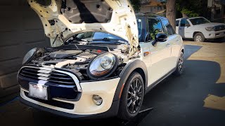 Mini Cooper Hardtop 4 Door F55 15l Turbo Oil Change B38 3 Cyl engine [upl. by Leggett]