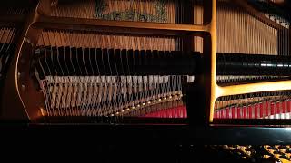 Wet Hands inside a piano [upl. by Polly]