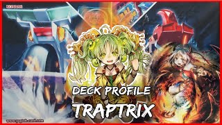 Traptrix Deck Profile  2x WinaMat❗❗ TRAPTRIX YCS BOLIVIA [upl. by Hersch194]