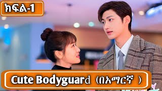 🔴  ክፍል1 Cute bodyguard በአማርኛ youngታሪክዝም cdrama  ኢትዮkdrama [upl. by Ottavia]