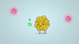 Science in 1 minute what are lichens [upl. by Notaes]