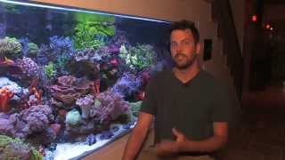 Vivid 400 Gallon Mixed Reef Aquarium 2012 [upl. by Lenore125]