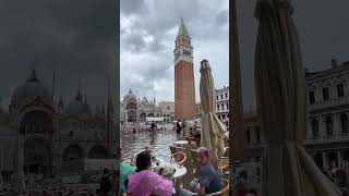 😍 Piazza san marco venezia 🇮🇹 shorts youtubeshorts summer2023 visititaly visitvenice venice [upl. by Anib]