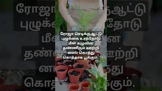 gardening gardengardentipsplantsRojaroja poonthottam song love [upl. by Hedveh543]