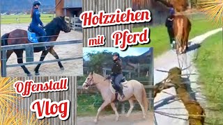 Pferde Vlog 🐴 FMA am Offenstall 🏡 Jungpferd reiten 💩 Matschfreier Paddock bei Starkregen amp Gatsch [upl. by Aubrie]