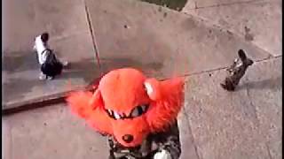 Sammy Bearkat 2003 National Competition Entry Video [upl. by Llehcsreh143]