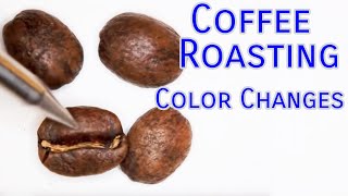 Coffee Roasting Basics  Color Changes [upl. by Ase82]