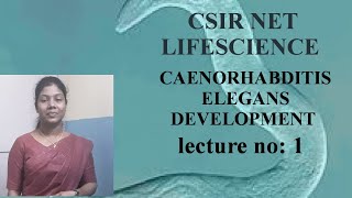 CSIRNETLIFESCIENCE CELEGANS DEVELOPMENT [upl. by Anitan455]