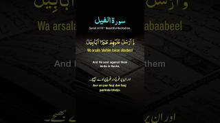 Recitation of the Holy Quran quranicverses subscribe [upl. by Jimmy]