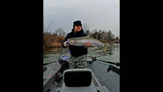 Manistee Steelhead fishing short [upl. by Ahseekal]