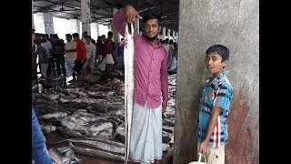 Biggest Fish Market In Coxs Bazar Fishari GatBig Sea Fish in Bangladesh [upl. by Aerua]