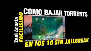 Como bajar torrents con tu iphone y con tu ipad i0S 10  9 MUY FACIL [upl. by Llerdnod111]