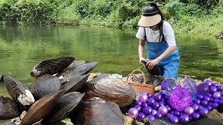 Discovering mutated giant clams in the river shocked to discover hundreds of precious pearls [upl. by Klaus]