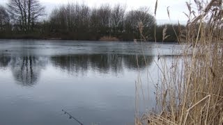 Fishermans Best Friend at Brandesburton 3amp4 Pond Hull amp District Anglers Association [upl. by Forelli136]