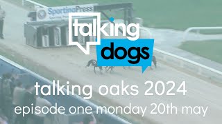 Talking Oaks Episode 1 Monday 20th May [upl. by Lleznov734]