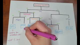 Bleeding disorders algorithm USMLE [upl. by Mercedes]