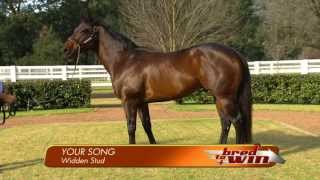 Your Song  Bred To Win feature 2013 [upl. by Nalliuq659]