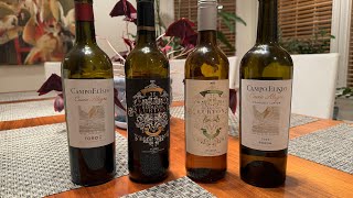 The Wines of Hermanos Lurton and Campo Eliseo  Spanish Wines from Rueda and Toro [upl. by Notxarb]