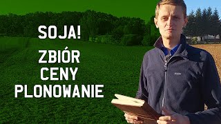 SOJA ZBIÓR  CENY  PLONOWANIE [upl. by Lorena]