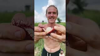 The Hairiest Fruit In the world 🌎ytshorts 5fruits [upl. by Auqinal]