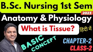 What is Tissue in hindi  Anatomy amp Physiology  BSc Nursing 1st Sem [upl. by Gilcrest576]