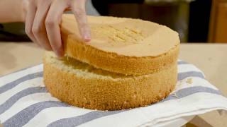 Super Soft Vanilla Sponge Cake recipe  Mood For Food [upl. by Naujad]