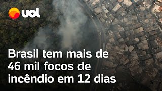 Queimadas Brasil tem mais de 46 mil focos de incêndio em 12 dias em meio à seca histórica diz Inpe [upl. by Banebrudge653]