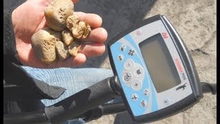 GOLD Specimens Old Silver Coins amp Relics w Minelab XTerra 705 Metal Detector [upl. by Ymmas836]