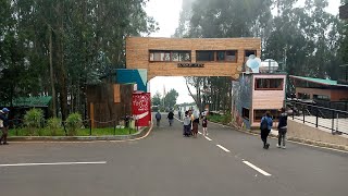 እንጦጦ ፓርክ አዲስ አበባ ኢትዮጵያ 🇪🇹 201624 Entoto Park Addis Abab Ethiopia ሸራተን Sheraton piass 4ኪሎ Finfin ebs [upl. by Ydnih]