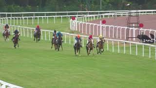 Course 4 Prix Haras des Faunes  Reverdy remporté par Gaston Merienne [upl. by Gaulin]