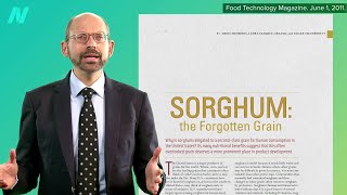 Is Sorghum a Healthy Grain [upl. by Freeborn]