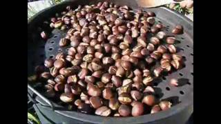 Marroni Maroni Maronen Marron Chestnuts Castagne  bratren roasting arrostite caldarroste [upl. by Oeniri85]