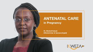 ANTENATAL CARE IN PREGNANCY [upl. by Eiromem]