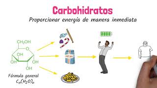 LÍPIDOS Bioquímica Clasificación y Tipos de Lípidos Biomoléculas Biología Bachillerato [upl. by Nnalyrehs]