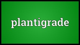 Plantigrade Meaning [upl. by Ashbaugh903]