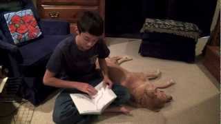 Dyslexic Tips Reading to Your Dog [upl. by Meela808]