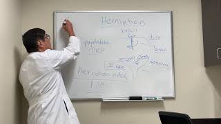 Brain herniation syndromes [upl. by Hays]