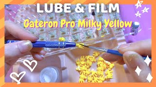 How to lube amp film switches  ft Gateron Pro Milky Yellow [upl. by Obadiah]